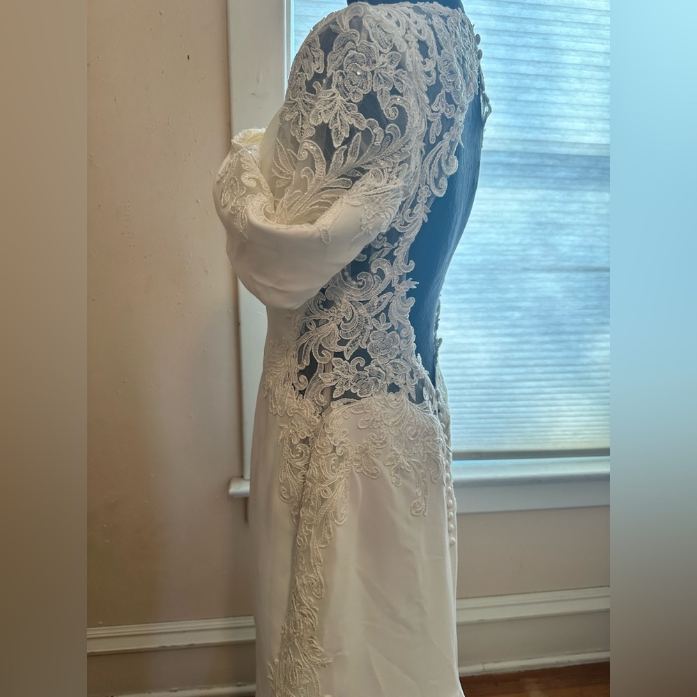 Pronovias Kaya Wedding Dress - Picture 10 of 12